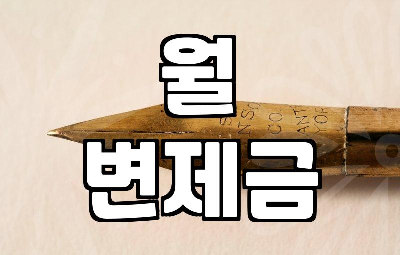 두번째개인회생 신청할 때 반드시 확인해야 하는 생계비와 변제율 전략