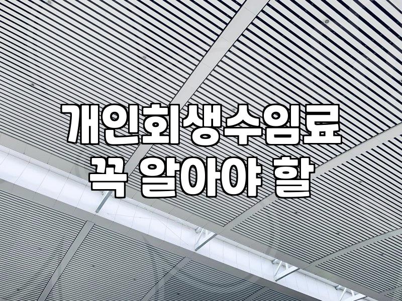 20대 도박빚과 개인회생, 현실적인 고민의 기록
