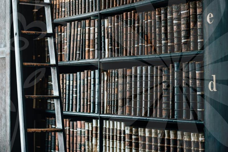 회생채권의 흐름과 관리 전략으로 채무를 이해하기