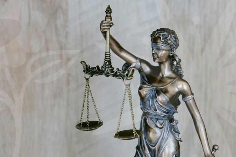 채무확인으로 시작하는 연대채무와 신용정보 관리 전략