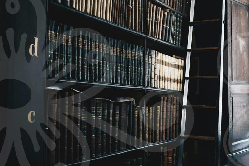 개인회생제도에 대한 핵심 이해와 자격 요건을 알아보는 가이드