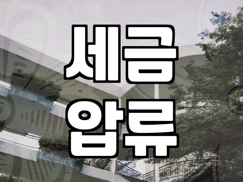 국세 체납, 개인회생으로 해결 가능할까
