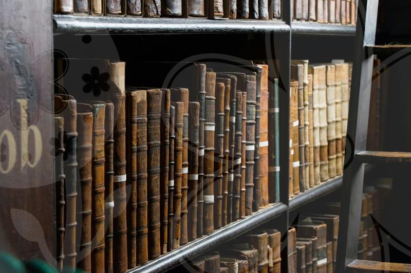 항소이유서로 본안 판단을 되짚는 개인회생 안내