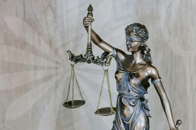 파산관재인면담에서 알아두는 면담준비와 대처