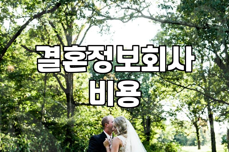 결혼상담소 이용 비용과 성혼 확률을 결정하는 핵심 요소