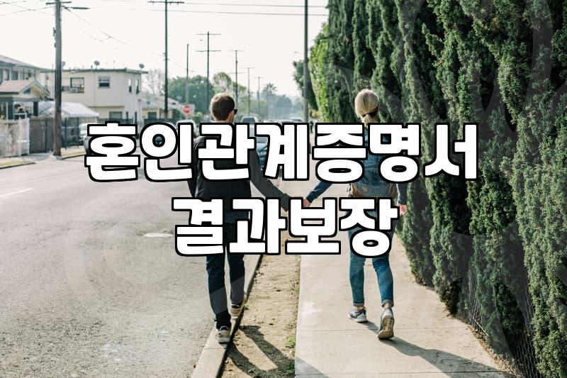 혼인정보 확인 시 주의해야 할 서류와 법적 효력