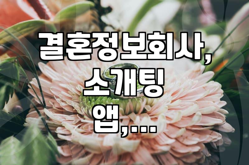 결혼정보, 어디까지 믿어야 할까? 현실적인 고민들