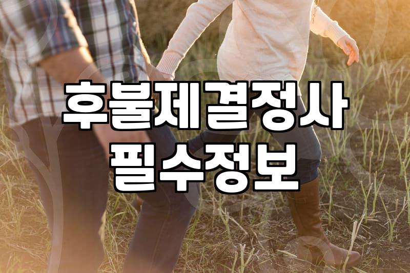 소개팅과 결혼정보회사의 현실적인 차이와 고려할 점