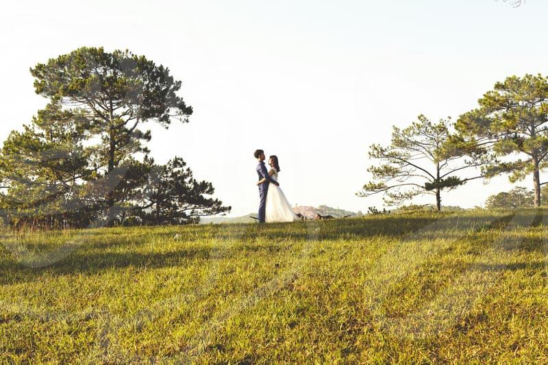 SOLO를 중심으로 본 결혼정보의 흐름과 전략