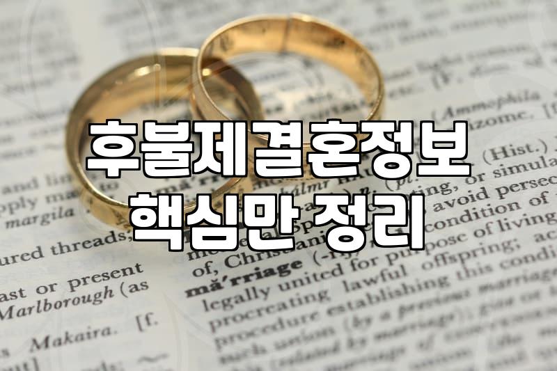 결혼정보회사, 과연 돈값을 할까? 솔직한 경험담과 현실적인 고민