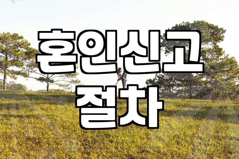 결혼정보와 혼인신고, 서류 너머의 현실적인 고민들
