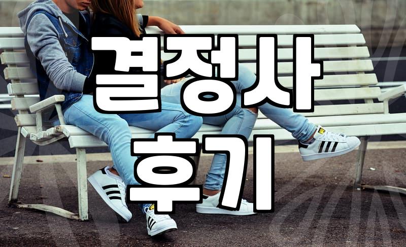 결정사 등급표, 그 적나라한 숫자의 함정에 대하여