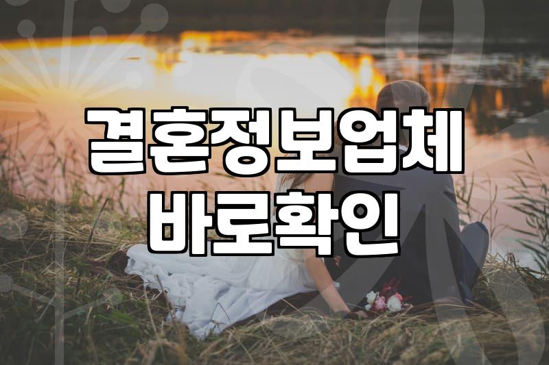 성혼비, 이게 맞는 걸까? 현실적인 고민 해결