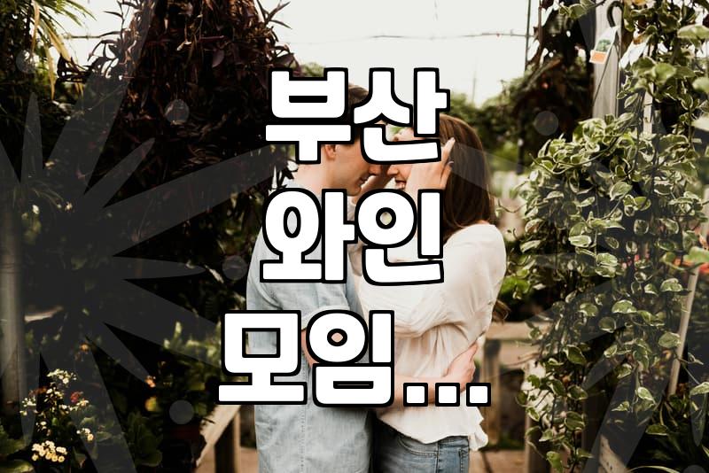 주말에 다녀온 와인 모임이 생각보다 조용했던 이유