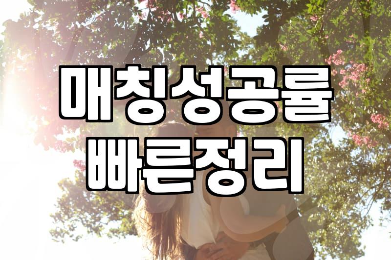 결혼상담사 도움받기 전 반드시 확인해야 할 현실적인 기준들