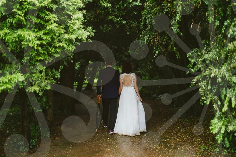 혼인정보를 확인할 때 먼저 봐야 할 기준들