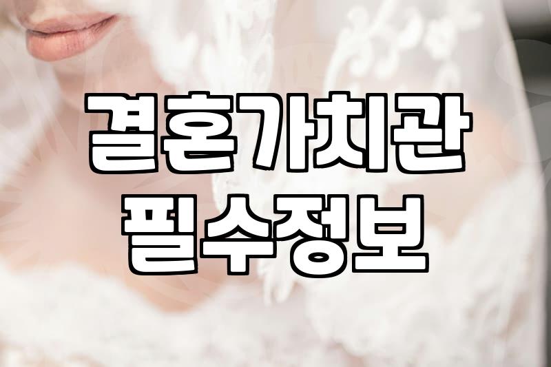 성공적인 맞선을 위한 현실적 조언