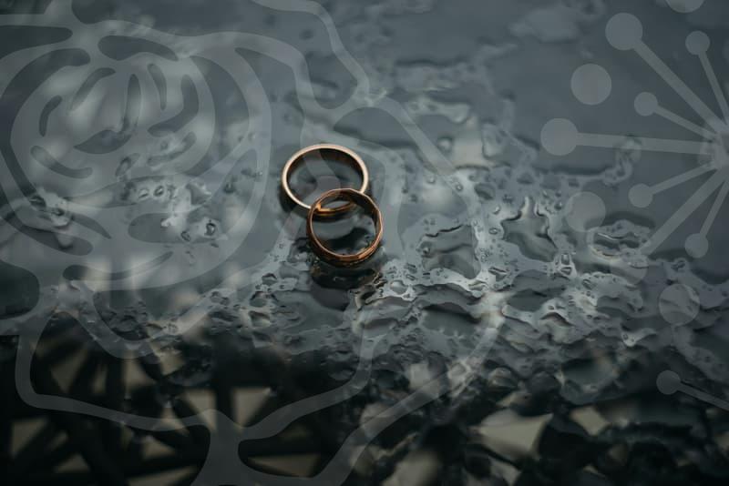 이혼후재결합의 법적 쟁점과 실무 전략을 이해하는 길과 주의점