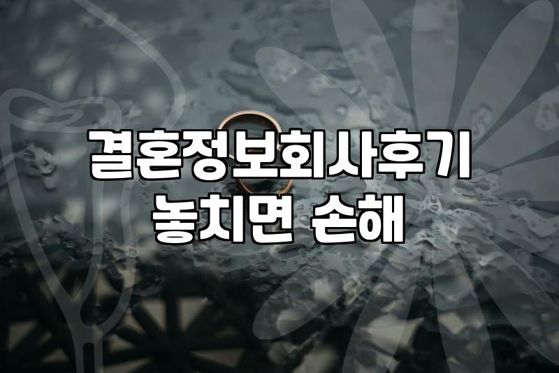 결혼정보회사, 솔직히 써보니 어떨까? 경험자가 말하는 현실적인 이야기