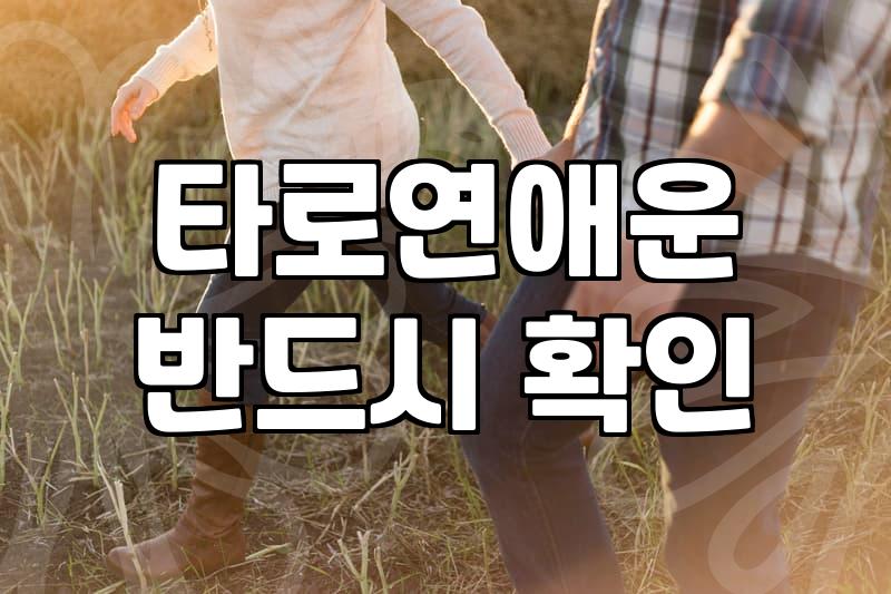 타로와 사주, 그 모호한 경계에서 30대가 배운 것들