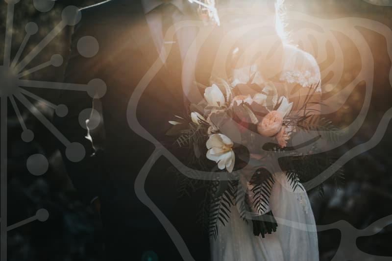 밀크필로 피부전략 세우고 매력적으로 다가서는 법