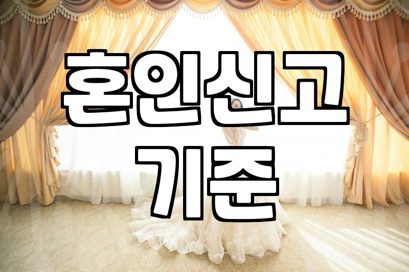 혼인정보 활용 시 확인해야 할 법적 효력과 주의사항