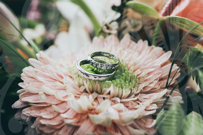 결정사등급표의 실질적 활용법과 주의점 알아보기