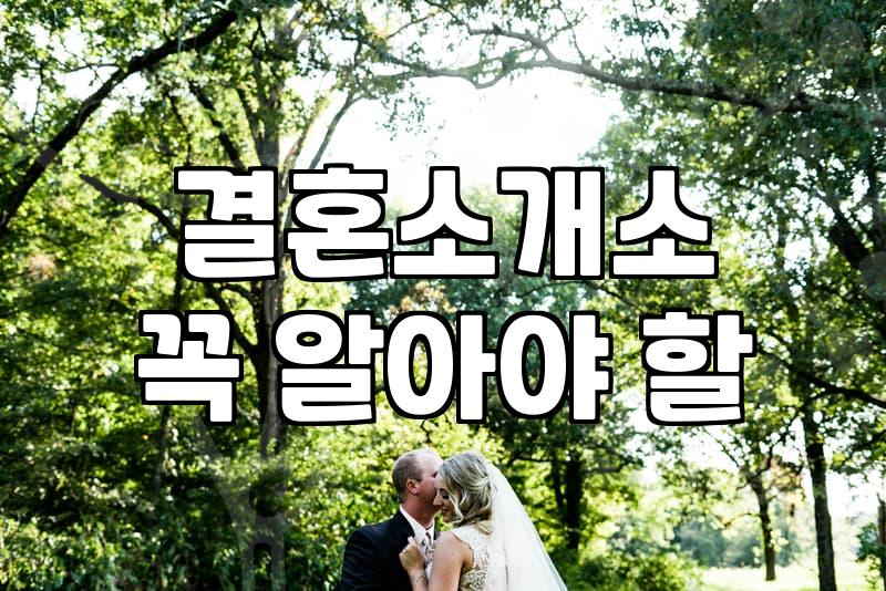 결혼상담소 이용 비용과 회원 등급 결정 기준