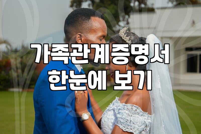 혼인정보 증명서류 준비 시 주의해야 할 점과 실질적인 확인 절차