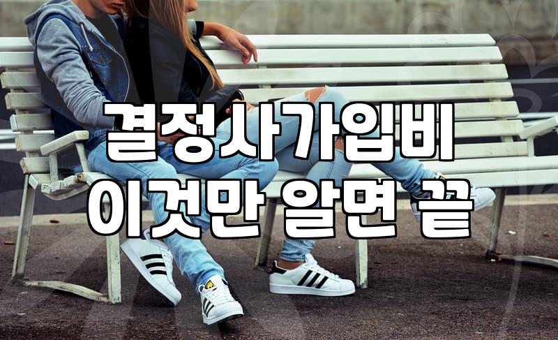 결혼정보회사비용 구조와 예산 책정 기준 분석