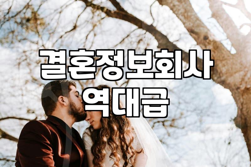 소개팅업체 이용 시 확인해야 할 현실적인 비용과 서비스 차이