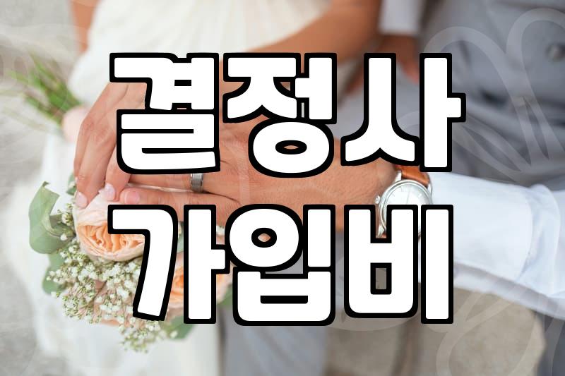 결혼정보회사 상담 예약을 잡고 현타가 왔던 이유