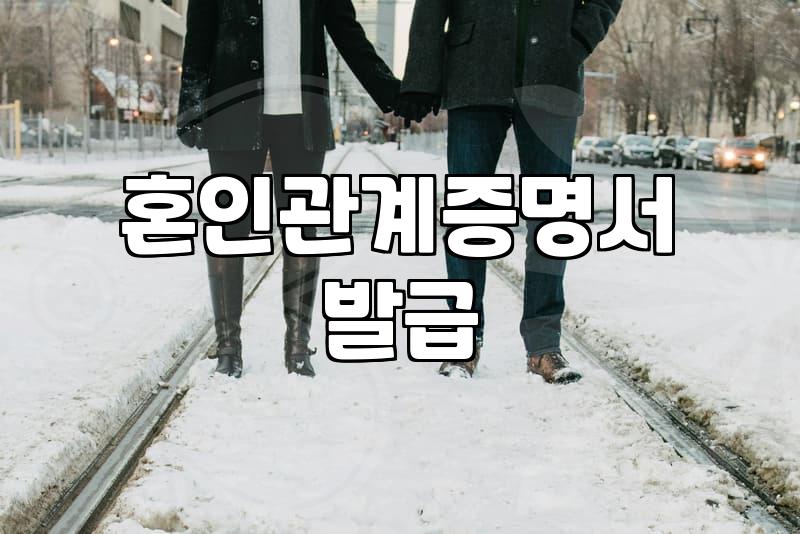 혼인정보 서류 준비와 법적 효력 발생 기준