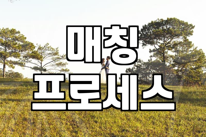 결혼 시장의 숨은 실력자 중매인의 역할과 현실적인 매칭 기준