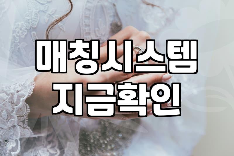 결혼정보사 가입 전 반드시 알아야 할 현실적인 조언