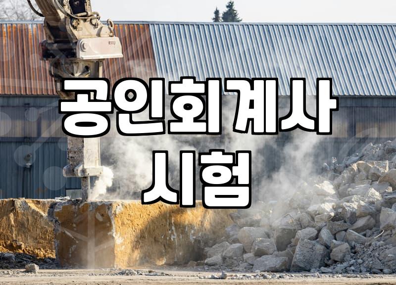 회계사가 되는 현실적인 방법: 5년간의 도전기