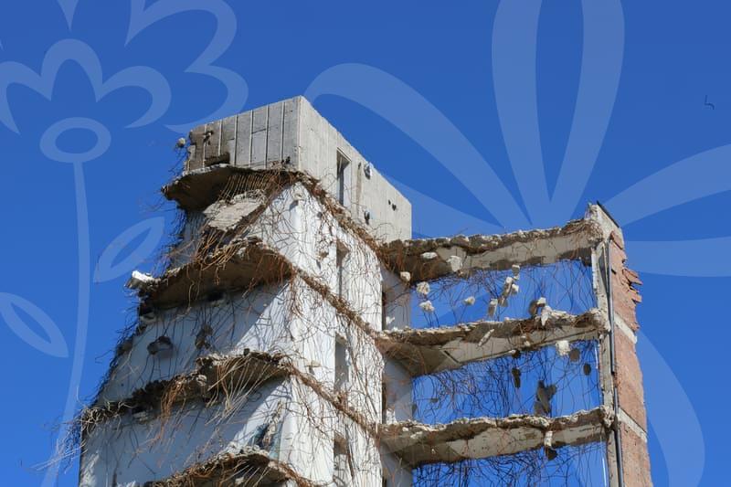 회계사자격증의 기본 이해와 제휴마케팅과의 시너지 탐구