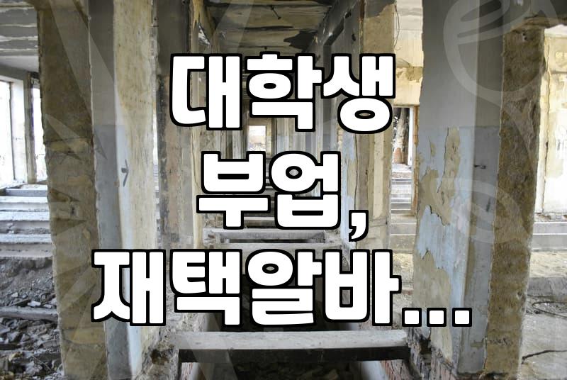 스마트하게 돈 버는 대학생, 알바만 말고 부업도 해볼까?