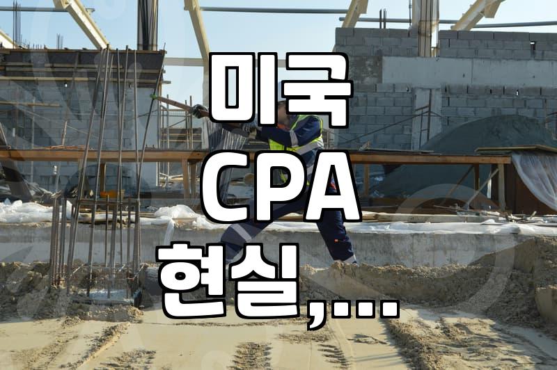미국 CPA, 따놓으면 다일까? 현실적인 경험담과 솔직한 후기