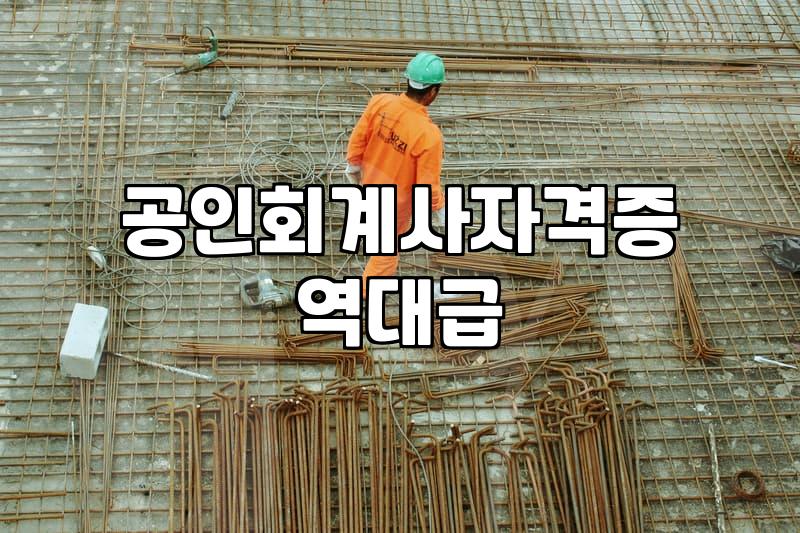CPA 시험 과목별 난이도와 실제 준비 기간의 기준