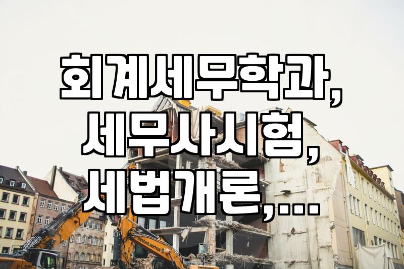 회계세무학과 전공자들이 마주하는 진로 고민과 현실적인 실무 준비법