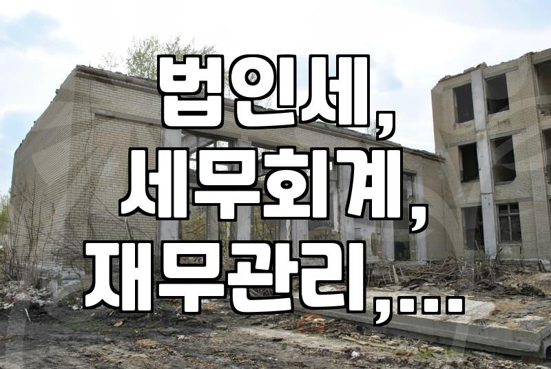 법인 운영 시 알아두면 좋을 세무 이슈들: 횡령, 가상자산, 세무조사 대비