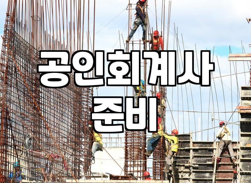 CPA 준비, 과연 노력만으로 될까? 현직자들의 솔직한 회고